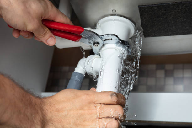 Best Professional water damage repair  in Galesburg, IL
