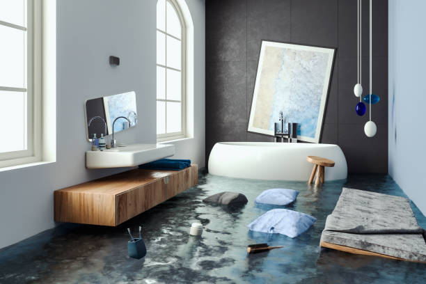 Best Mold removal after water damage  in Galesburg, IL