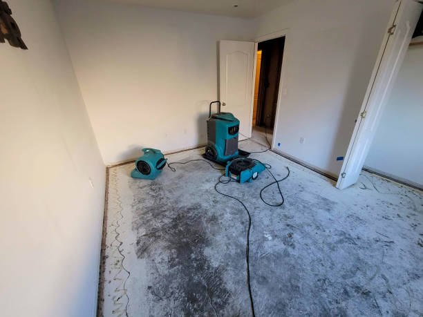 Best Water damage contractors near me  in Galesburg, IL