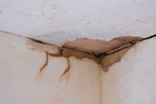 Best Ceiling water damage repair  in Galesburg, IL