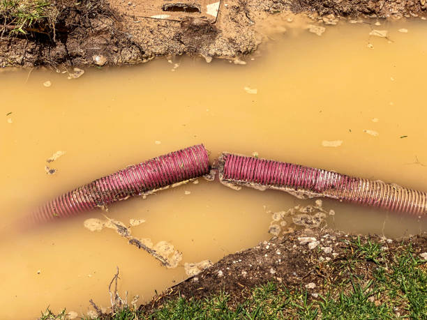 Best Residential water damage restoration  in Galesburg, IL